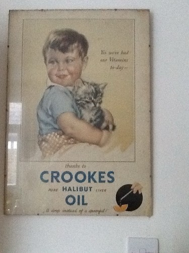 Crookes halibut oil - crookes,