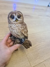 Vivid Arts Tawny Owl Real Life
