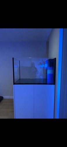 Red sea reefer - red, 350