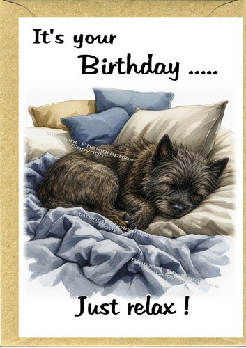 Cairn terrier dog - cairn,