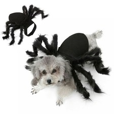 Pet Black Spider Costume