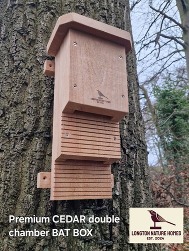 Cedar bat box - bat,