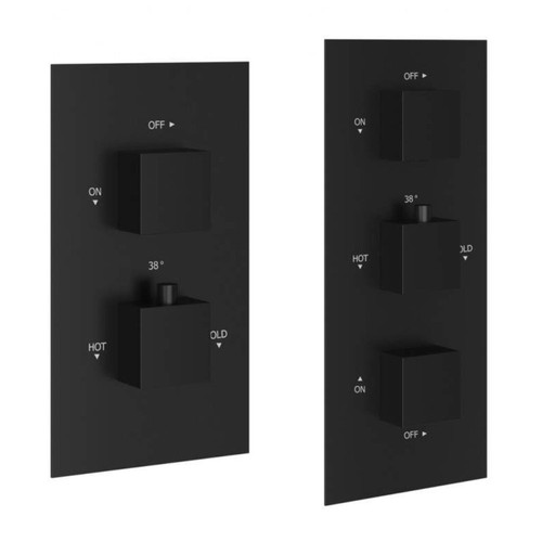 Concealed thermostatic shower - concealed,