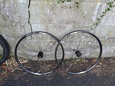 Bontrager Mustang Elite TLR