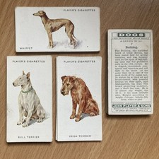 1931 Player's Dogs (A. Wardle