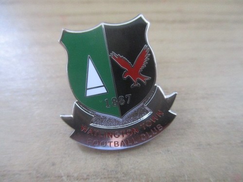 Watlington town non - fc,
