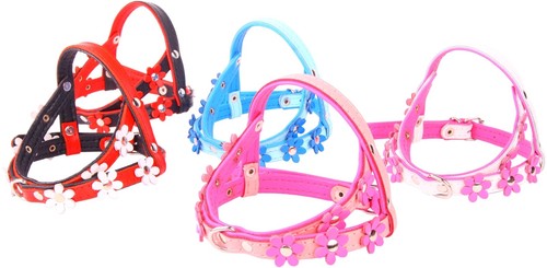 Real soft leather dog puppy - dog,