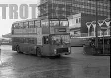 35mm Black and White Negative