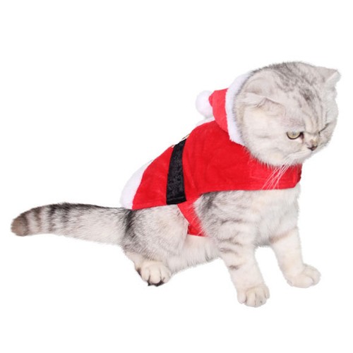 Pet costume christmas - pet,