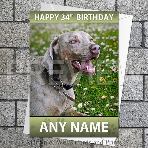 Weimaraner birthday card - ., 5x7