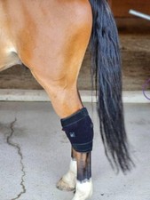 RED LIGHT HOCK BOOT FOR HORSES