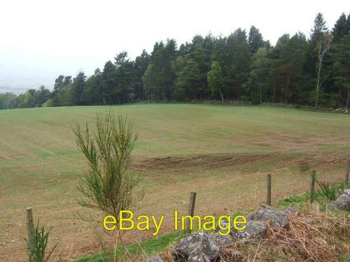 Photo 6x4 view westerly - photo, from