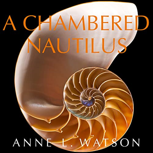 Chambered nautilus new - chambered,