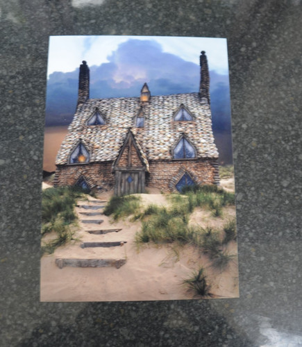 Harry potter shell - harry,