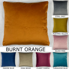 Premium Plush Velvet Cushion