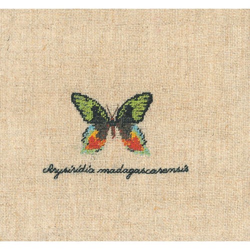 Bonheur des dames counted - le,