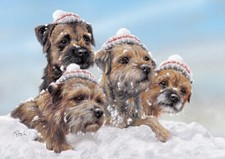 Border Terrier Christmas cards pack of 10 'Snow Business' by Paul Doyle C715X