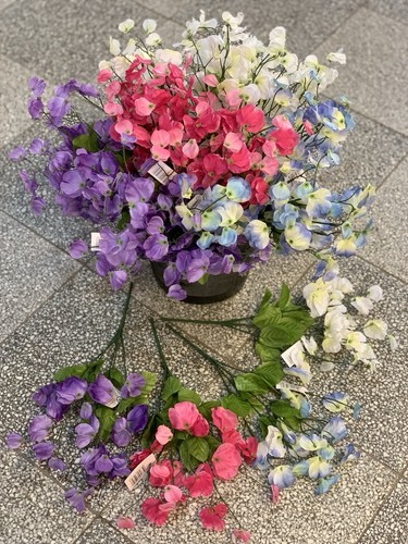 Pack sweet peas bunches - sweet,