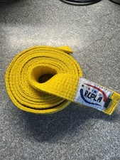 MARTIAL ARTS KARATE BELT TAEKWONDO JUDO KICKBOXING BELT KID & ADULT Yellow