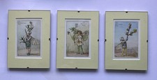Set Of Three 7” X 5” Flower Fairy Prints, By Cicely Mary Barker Circa 1920s/30s