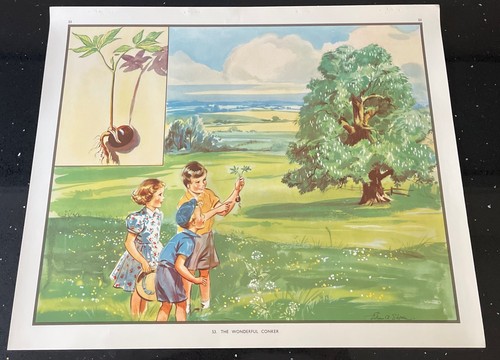 Vintage 1950s enid - vintage, blyton