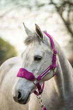UNICORN FLEECE HEADCOLLAR  SIZE FULL TO MINI SHETLAND CLEARANCE ONLY HEADCOLLAR