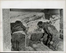 1964 Press Photo Bales readied