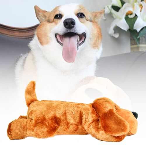 Soft plush puppy - toy, with