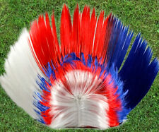 Mohican Trendy Wig Royal Punk