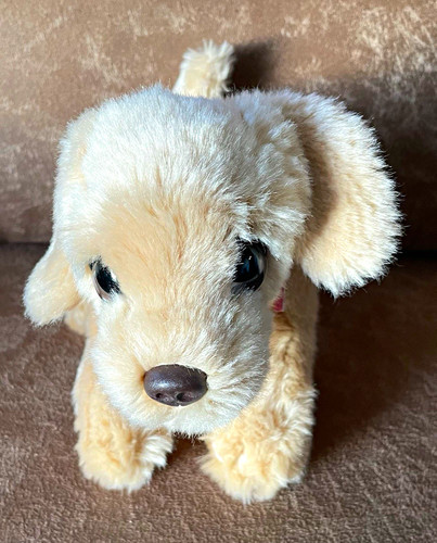 Keel toys cuddle puppies - keel,