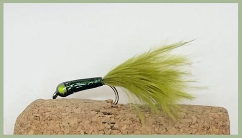 Marabou stalking bug olive - bug,