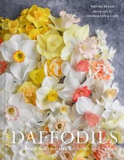 Daffodils: Beautiful varieties