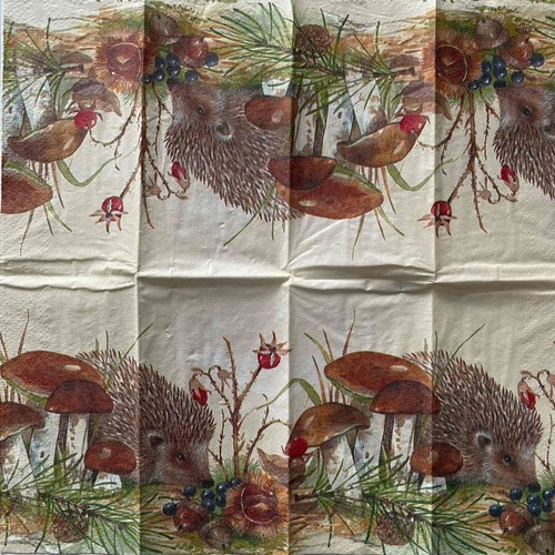 Paper napkins 21x21 - napkins, for