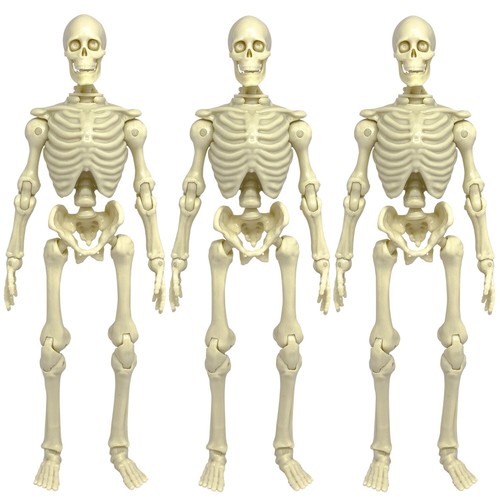 Set super articulated - of,
