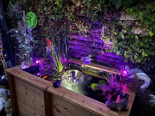 Deep raised garden pond fish - deep,