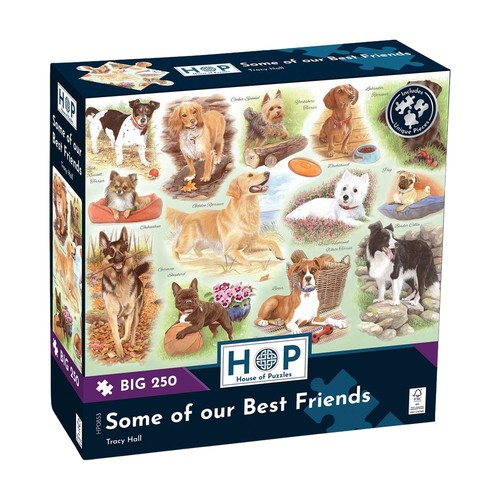 House puzzles some our - house, of
