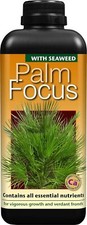 Palm Tree Fertiliser Feed For