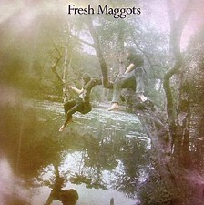 Hatched Fresh Maggots {Free