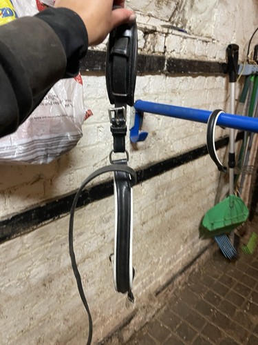Dressage browband and noseband - dressage,
