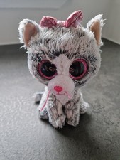 GREY WHITE TABBY KITTY CAT