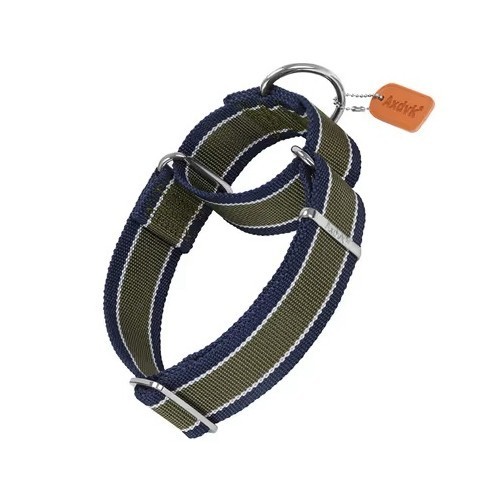 Martingale dog collar 4cm - xl,