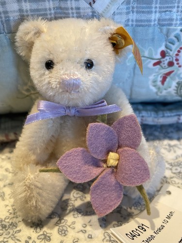 Crocus miniature steiff - miniature, teddy