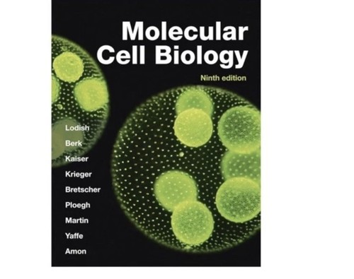 Molecular cell biology - cell,