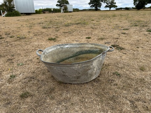 Vintage galvanised tin bath - galvanised,