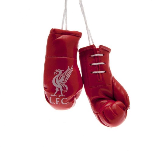 Liverpool mini boxing - liverpool,