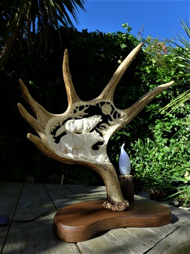 Lamp made from moose antler - ,
