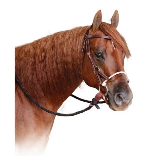 Professional choice ranch - professional's,