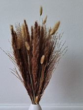 Dried Natural Pampas Grass Reed Flowers 27 Stems Bouquet Bunch