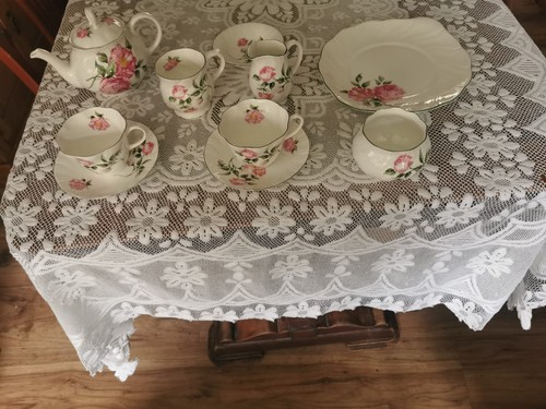 Rosina china mottisfont roses - rosina,