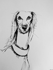 Saluki Dog Pen Illustration